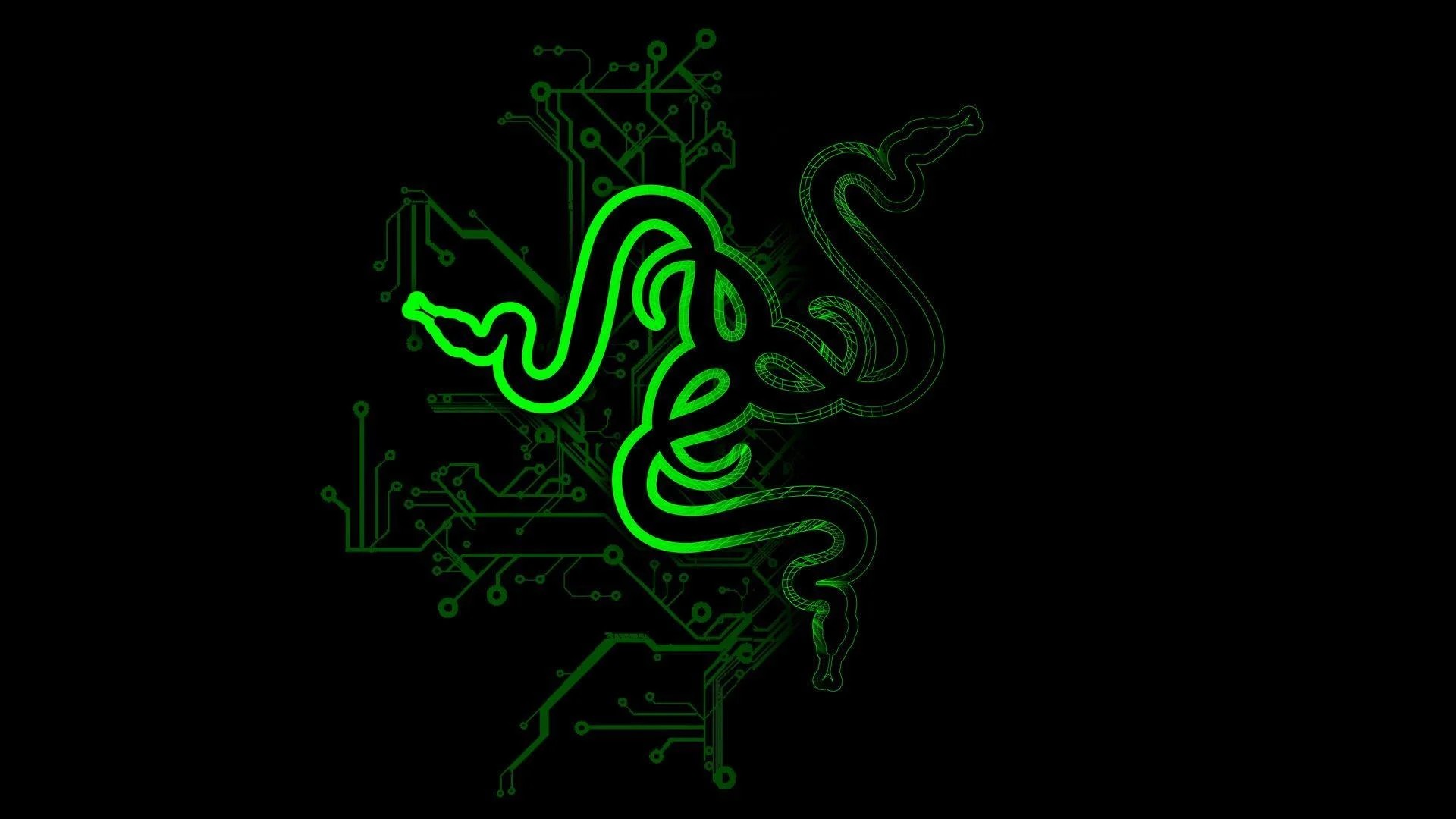 razer 1080P 2k 4k HD wallpapers backgrounds free download  Rare Gallery
